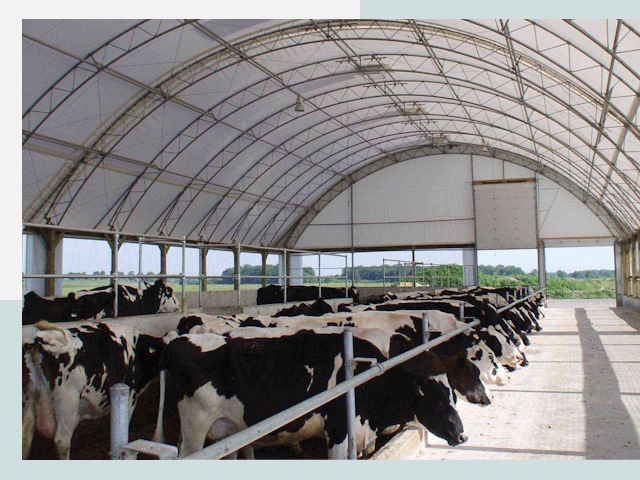 Тентовые коровники в Гулькевичах